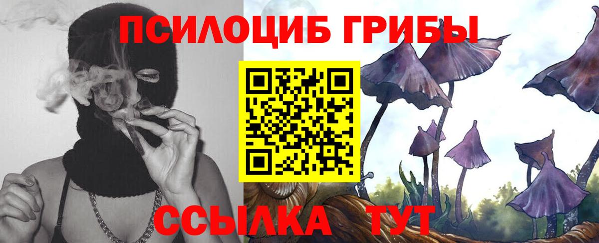 Псилоцибиновые грибы Psilocybine cubensis Раменское
