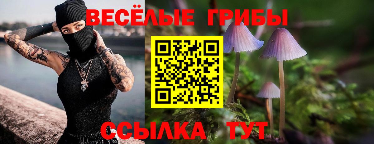 Раменское  Галлюциногенные грибы Cubensis  Вход с VPN 